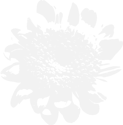 bg flower